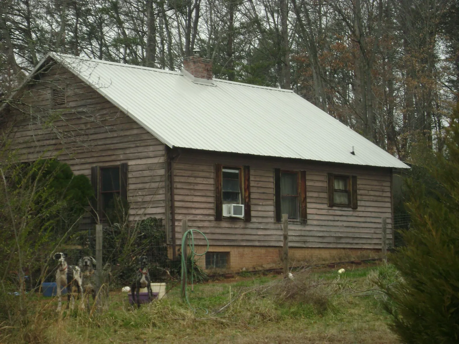 White metal roof on an old wood sided farmhouse, from a Asphalt Shingle Roof Repair job in Conrad